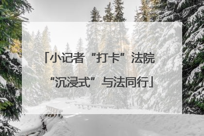 小记者“打卡”法院 “沉浸式”与法同行