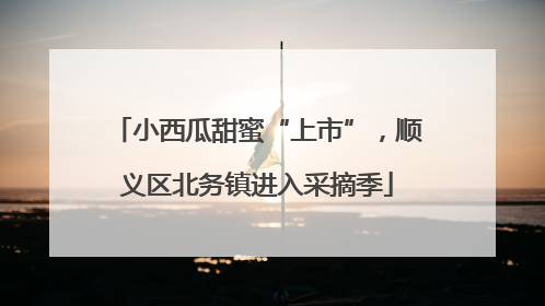 小西瓜甜蜜“上市”，顺义区北务镇进入采摘季