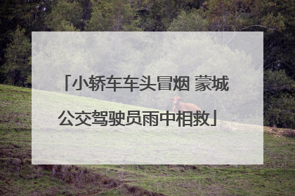 小轿车车头冒烟 蒙城公交驾驶员雨中相救