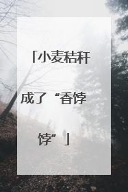 小麦秸秆成了“香饽饽”