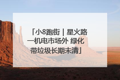 小8跑街｜星火路一机电市场外 绿化带垃圾长期未清
