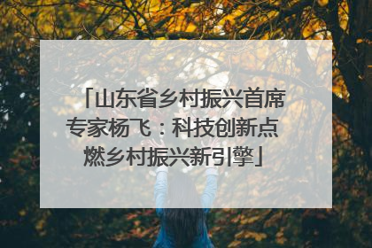 山东省乡村振兴首席专家杨飞：科技创新点燃乡村振兴新引擎