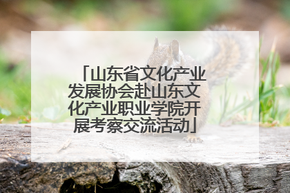 山东省文化产业发展协会赴山东文化产业职业学院开展考察交流活动