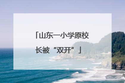 山东一小学原校长被“双开”
