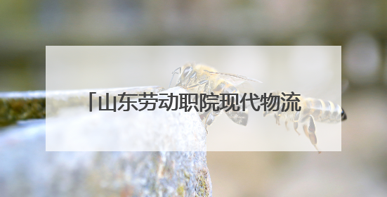 山东劳动职院现代物流管理专业：打造乡村振兴职教改革齐鲁样板