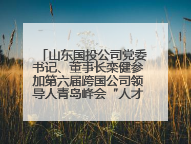 山东国投公司党委书记、董事长栾健参加第六届跨国公司领导人青岛峰会“人才引领 创新驱动”人力资源高质量发展对话会
