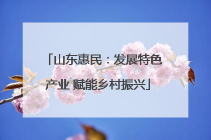 山东惠民：发展特色产业 赋能乡村振兴