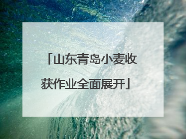 山东青岛小麦收获作业全面展开