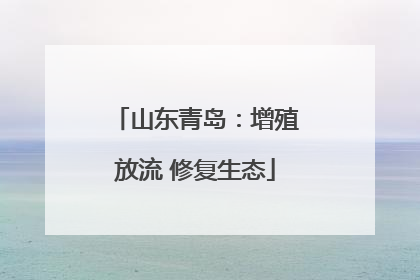 山东青岛：增殖放流 修复生态