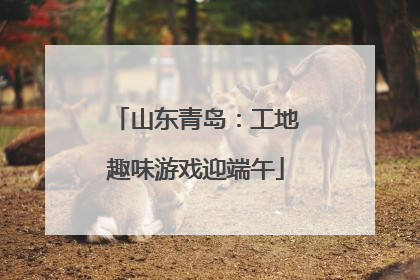 山东青岛：工地趣味游戏迎端午