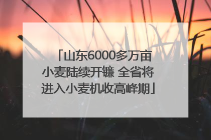 山东6000多万亩小麦陆续开镰 全省将进入小麦机收高峰期