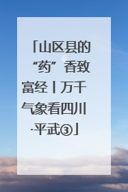 山区县的“药”香致富经丨万千气象看四川·平武③