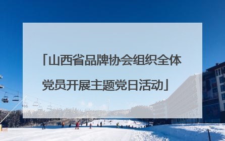山西省品牌协会组织全体党员开展主题党日活动