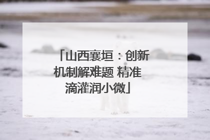 山西襄垣：创新机制解难题 精准滴灌润小微