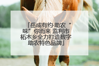 岳成有约·助农“味”你而来 监利市柘木乡全力打造数字助农特色品牌