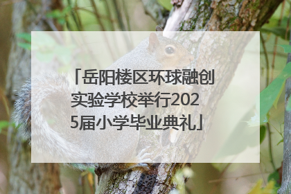 岳阳楼区环球融创实验学校举行2025届小学毕业典礼
