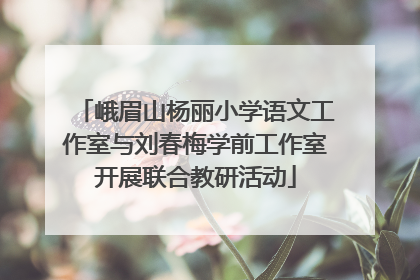 峨眉山杨丽小学语文工作室与刘春梅学前工作室开展联合教研活动