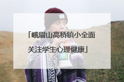 峨眉山高桥镇小全面关注学生心理健康
