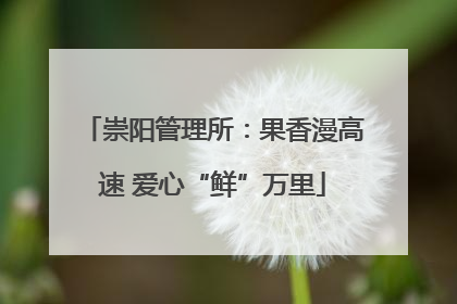 崇阳管理所：果香漫高速 爱心“鲜”万里