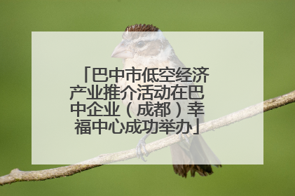 巴中市低空经济产业推介活动在巴中企业（成都）幸福中心成功举办