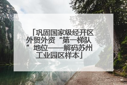 巩固国家级经开区外贸外资“第一梯队”地位——解码苏州工业园区样本