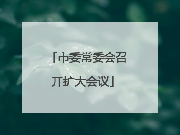 市委常委会召开扩大会议