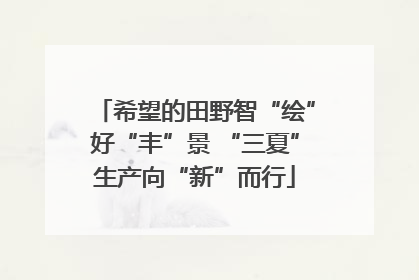 希望的田野智“绘”好“丰”景 “三夏”生产向“新”而行