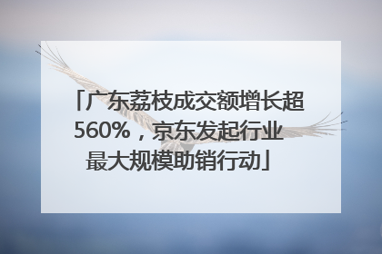 广东荔枝成交额增长超560%，京东发起行业最大规模助销行动