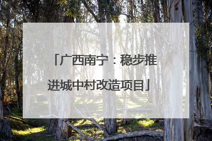 广西南宁：稳步推进城中村改造项目