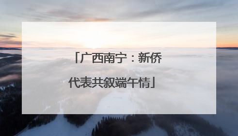 广西南宁：新侨代表共叙端午情