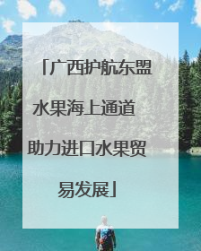 广西护航东盟水果海上通道 助力进口水果贸易发展