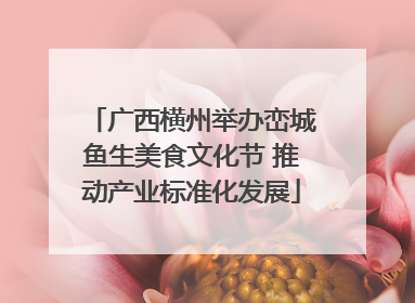 广西横州举办峦城鱼生美食文化节 推动产业标准化发展