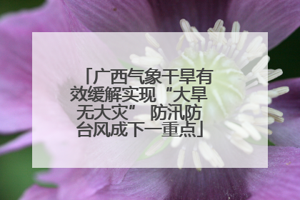 广西气象干旱有效缓解实现“大旱无大灾” 防汛防台风成下一重点