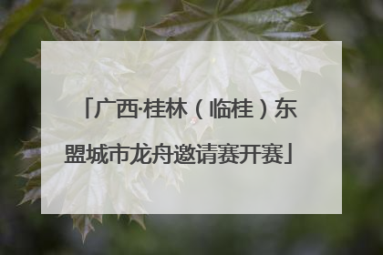 广西·桂林（临桂）东盟城市龙舟邀请赛开赛