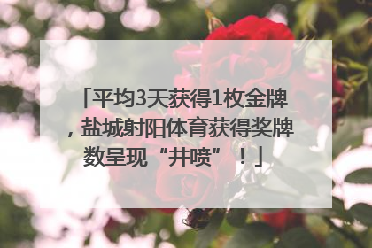 平均3天获得1枚金牌，盐城射阳体育获得奖牌数呈现“井喷”！