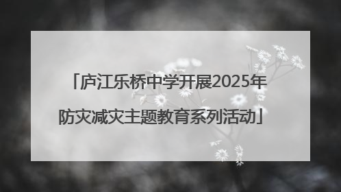 庐江乐桥中学开展2025年防灾减灾主题教育系列活动