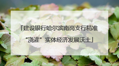 建设银行哈尔滨南岗支行精准“浇灌”实体经济发展沃土