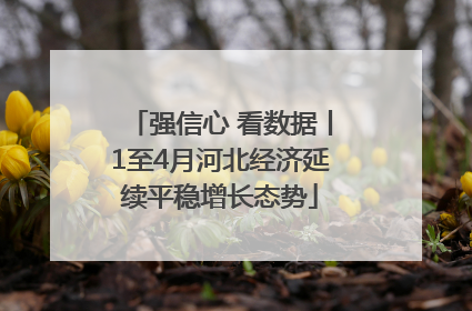 强信心 看数据丨1至4月河北经济延续平稳增长态势