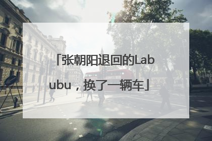 张朝阳退回的Labubu，换了一辆车