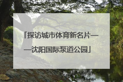 探访城市体育新名片——沈阳国际泵道公园