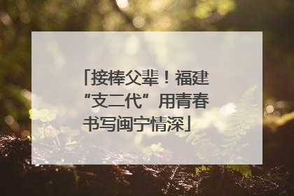 接棒父辈！福建“支二代”用青春书写闽宁情深