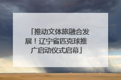 推动文体旅融合发展！辽宁省匹克球推广启动仪式启幕