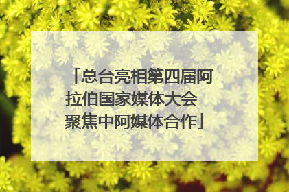 总台亮相第四届阿拉伯国家媒体大会 聚焦中阿媒体合作