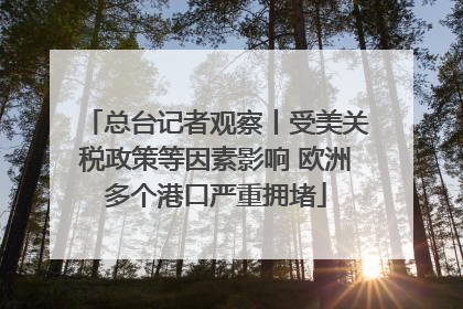 总台记者观察丨受美关税政策等因素影响 欧洲多个港口严重拥堵