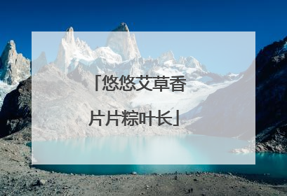 悠悠艾草香 片片粽叶长