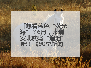 想看蓝色“荧光海”？6月，来瑞安北麂岛“追泪”吧！《90早新闻》来了