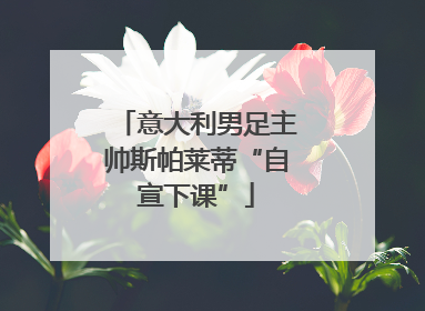 意大利男足主帅斯帕莱蒂“自宣下课”