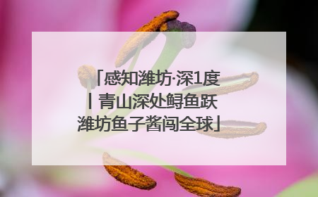 感知潍坊·深1度丨青山深处鲟鱼跃 潍坊鱼子酱闯全球
