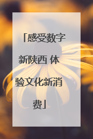 感受数字新陕西 体验文化新消费