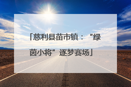 慈利县苗市镇：“绿茵小将”逐梦赛场